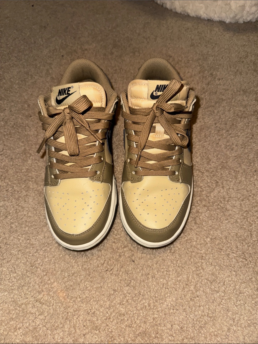 Nike Dunks in Beige and Brown